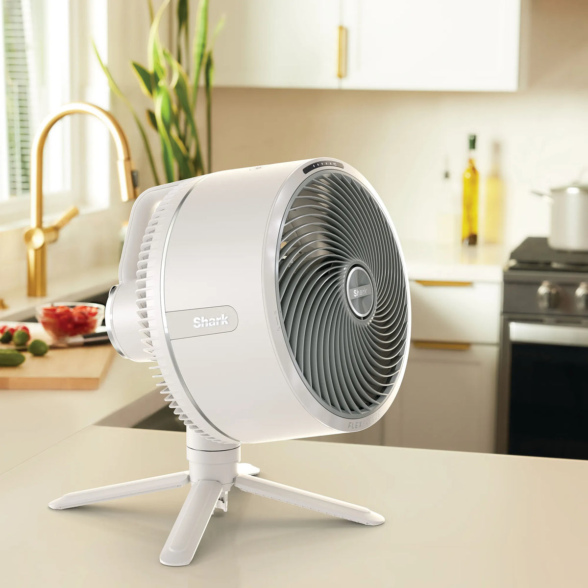FlexBreeze Fan With Misting Attachment